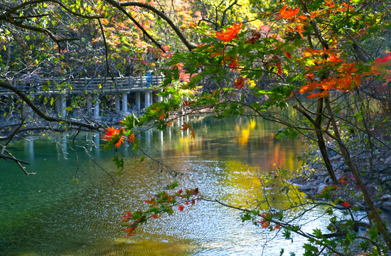 蒲石河秋天