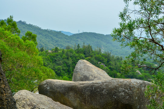 山中美景