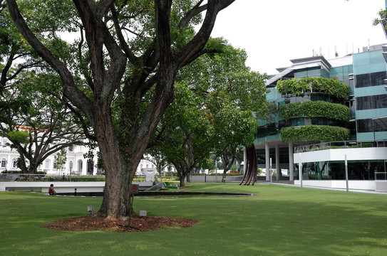 新加坡宾馆绿化