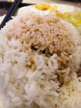 酱汁盖饭
