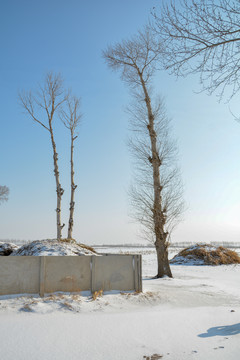 雪景