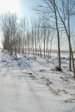 雪景