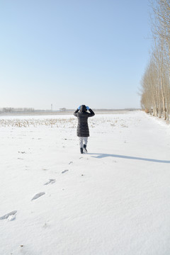 东北雪地