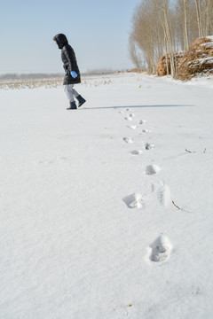 东北雪地