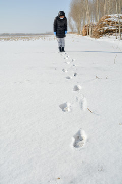 东北雪地