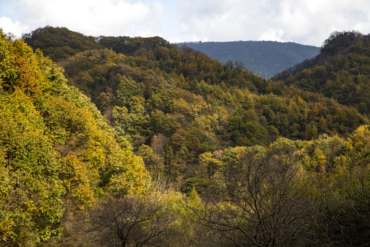 秦岭山秋景