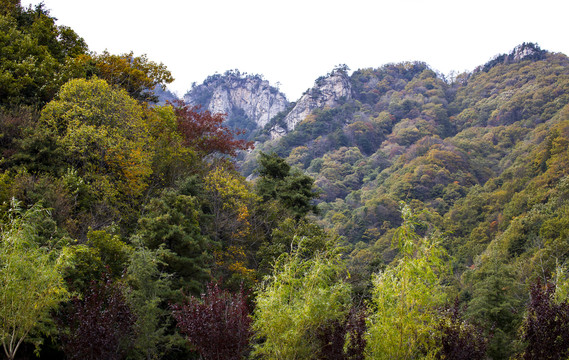 秦岭秋景