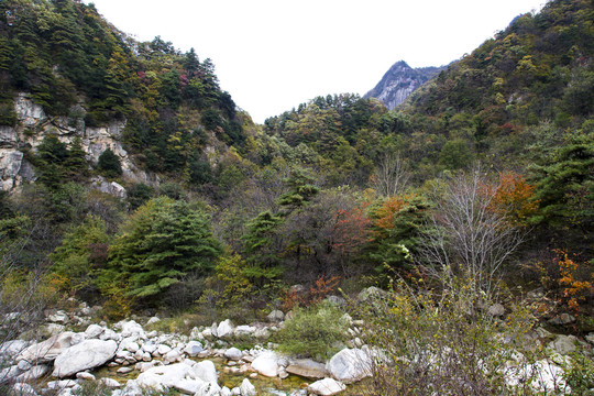 秦岭秋景