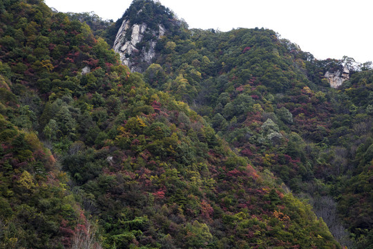 秦岭山秋景