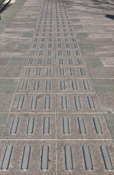 盲道