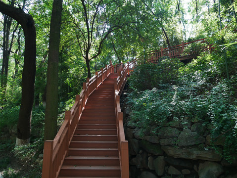 登山阶梯