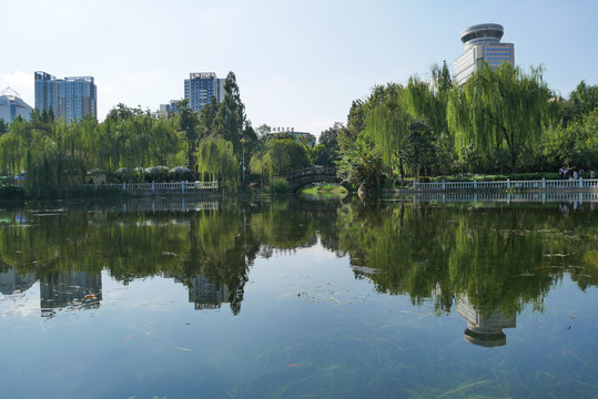 公园湖光风景