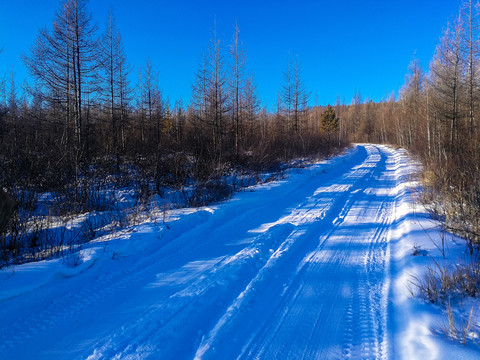 森林中积雪的道路