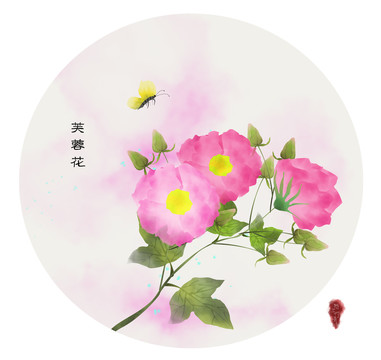 芙蓉花