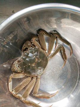 大闸蟹