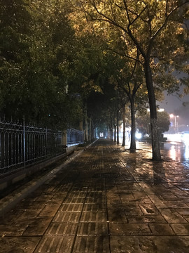 雨夜的路