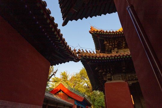 古建筑