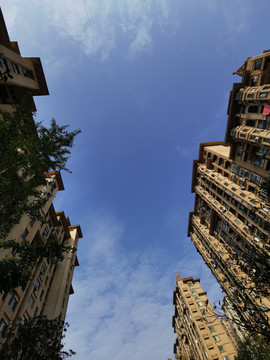 小区楼盘