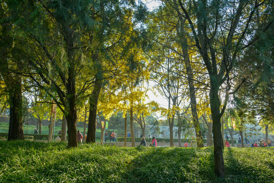 北京元大都遗址公园