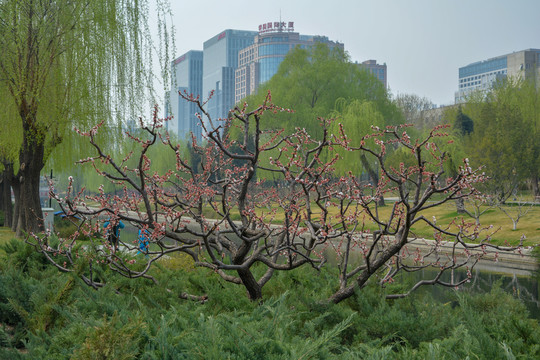 北京元大都遗址公园
