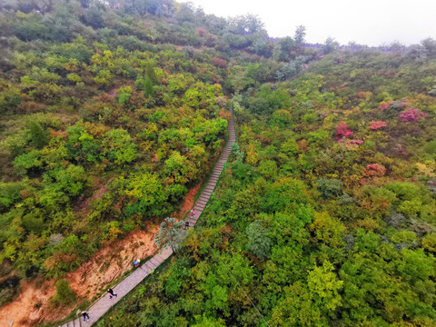 陕西铜川金锁关石林景区步道