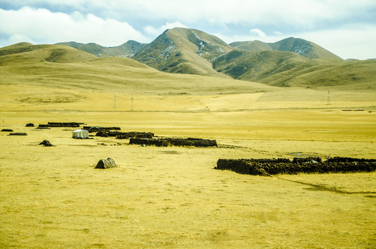 藏北牧场