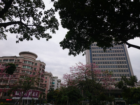 街景