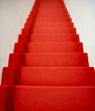 红毯步梯