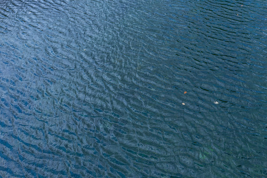 水面水纹