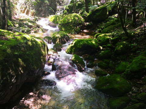 牛背梁溪流