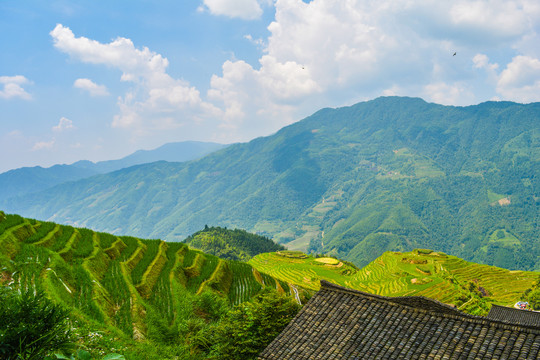 桂林龙脊梯田景区