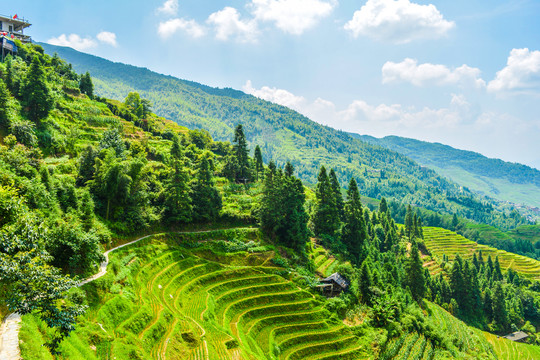 大瑶寨梯田景区