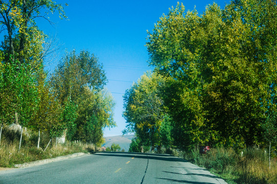 公路