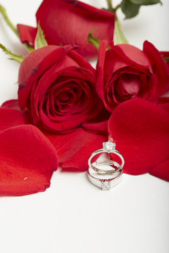 放在玫瑰花上的一对戒指