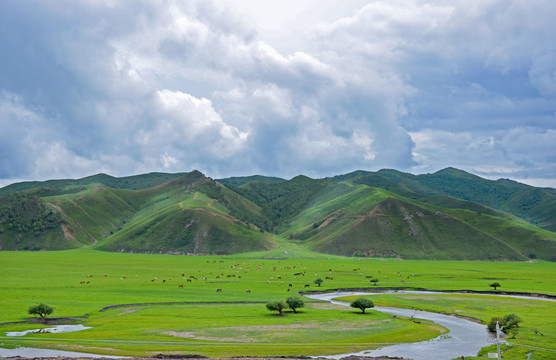 山地牧场