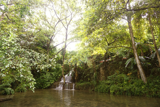 天星桥天星盆景区瀑布小景