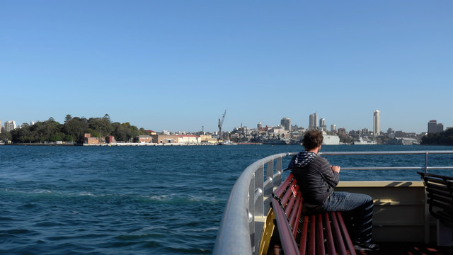 悉尼湾游艇游览