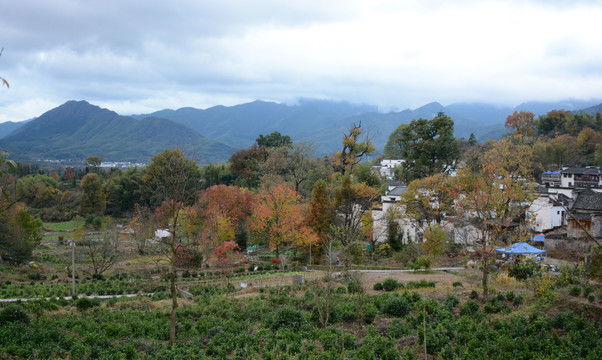 风景装饰画