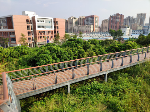 观景廊桥