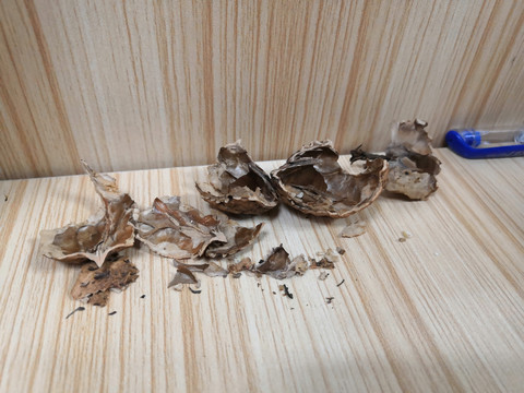 干果核桃仁