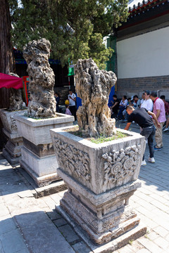 太湖石