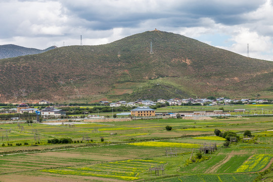 青稞架