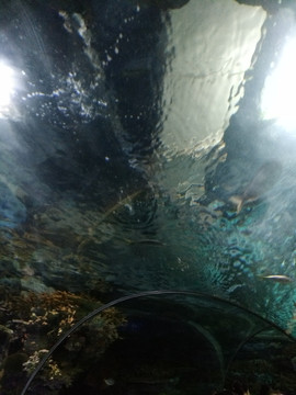 海洋水族馆隧道