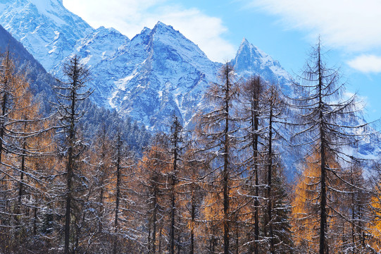 毕棚沟雪山