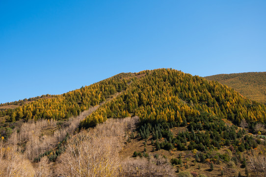 五台山