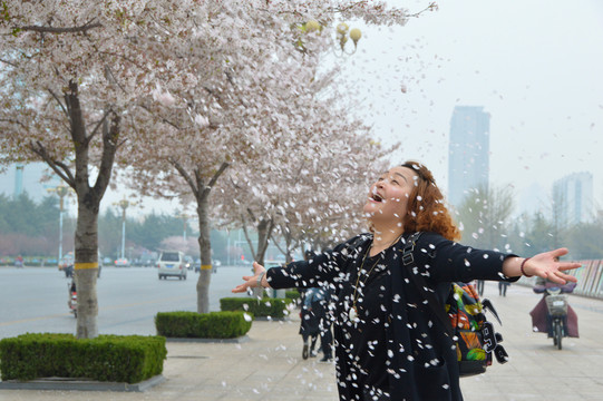 浪漫的樱花雨