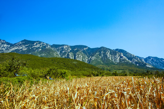 中岳嵩山太室山