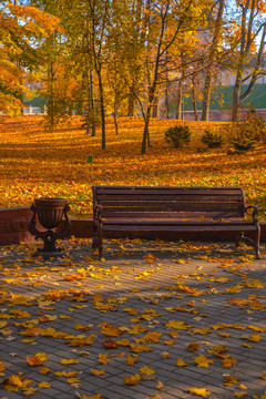 秋天公园里的长椅