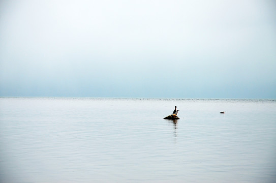 青海湖雨后