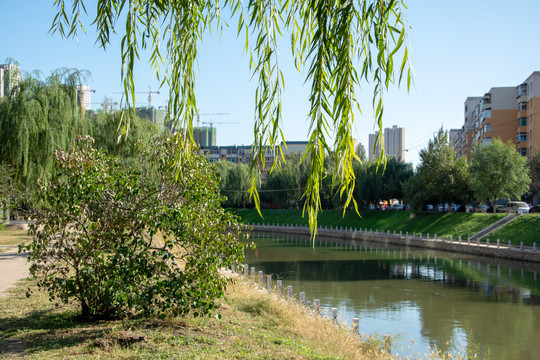 城市公园